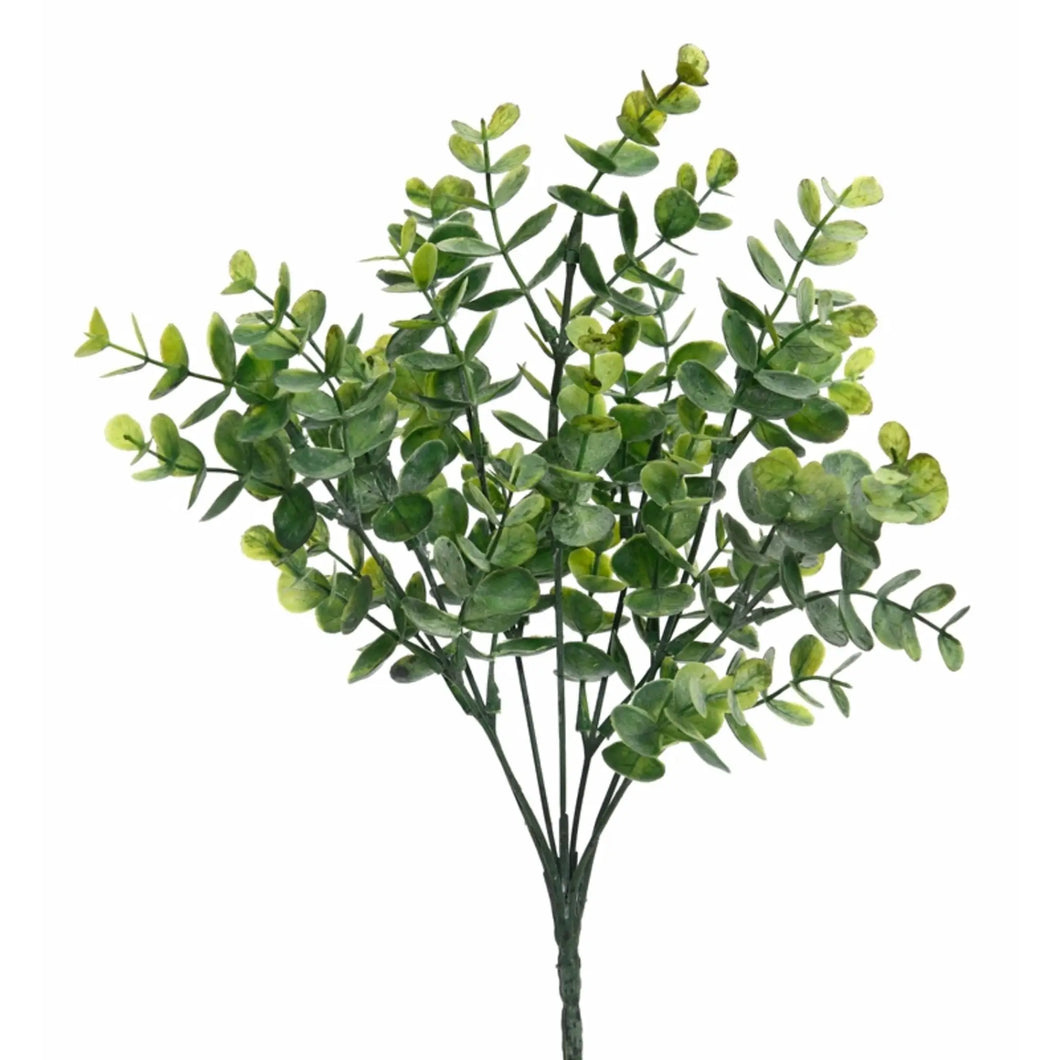 13” Eucalyptus Bush