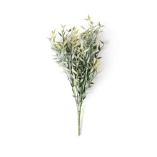 Load image into Gallery viewer, Faux Italian Ruscus Stem
