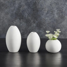 Load image into Gallery viewer, White Matte Vase Set Of 3

