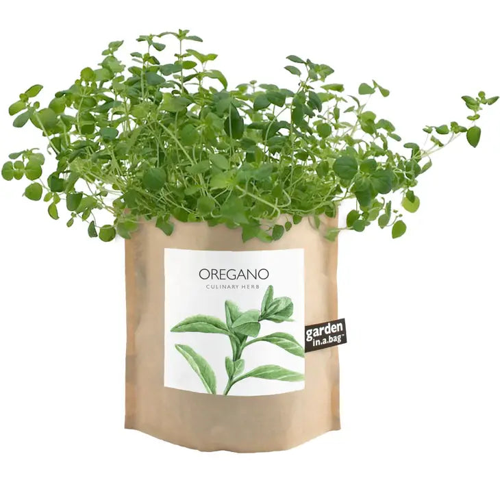 Oregano Garden in a Bag