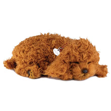 Load image into Gallery viewer, Toy Poodle
