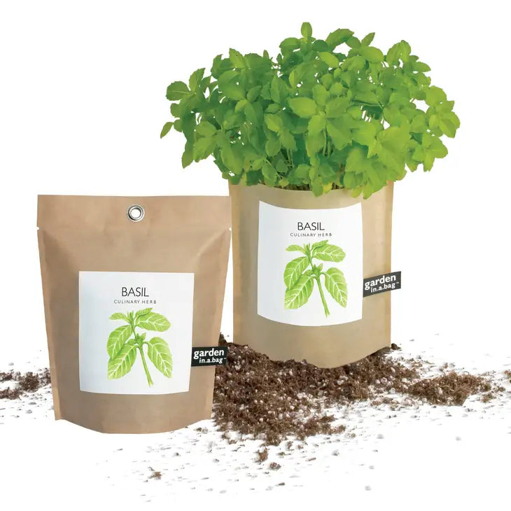 Basil Garden in a Bag