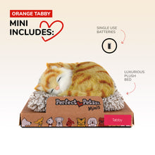 Load image into Gallery viewer, Mini Orange Tabby
