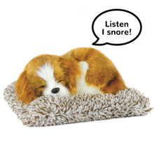 Load image into Gallery viewer, Mini Cavalier King Charles
