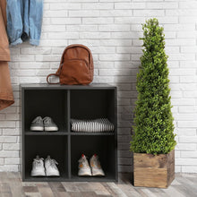 Load image into Gallery viewer, 36&quot; Plant Spring Boxwood
