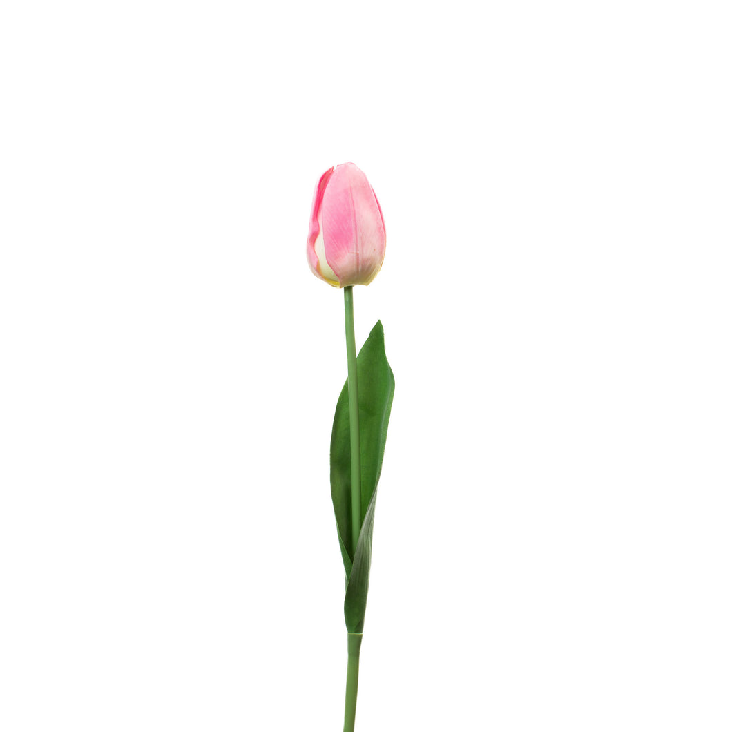 Faux Pink Tulip