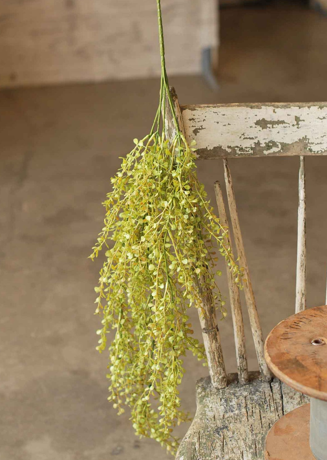 Baby's Grass Hanging Greenery