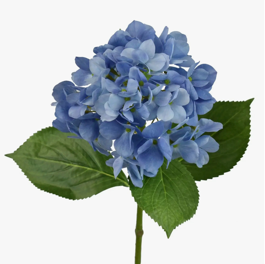26.5” Freshly Bloomed Hydrangea Stem