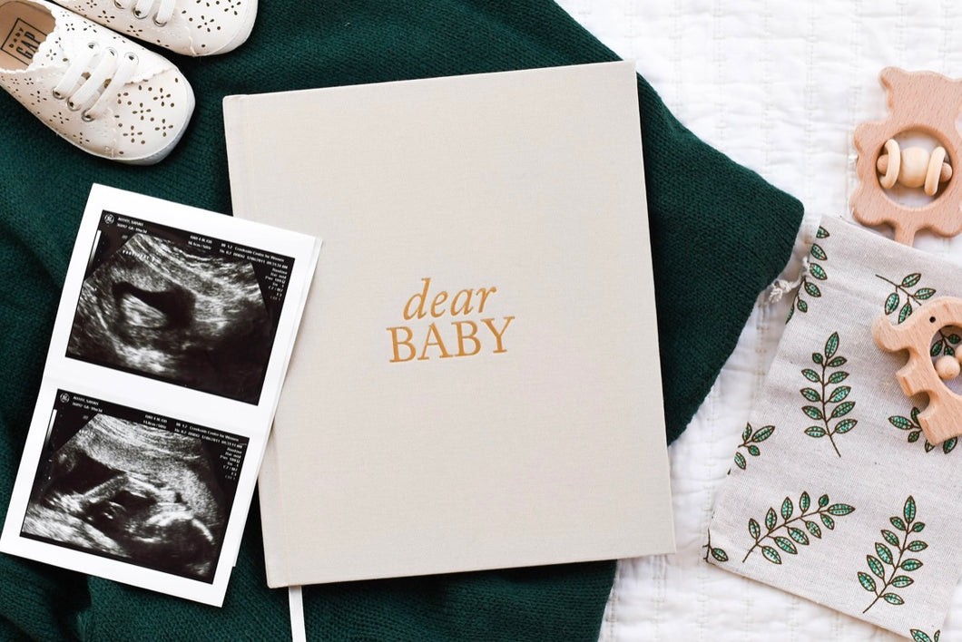 Dear Baby: A Pregnancy Prayer Journal